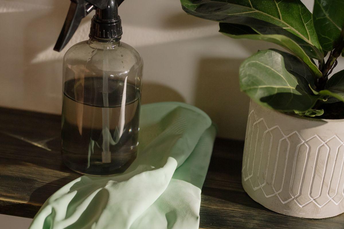 Disinfecting Services