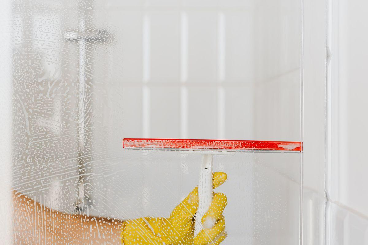 Mold Remediation